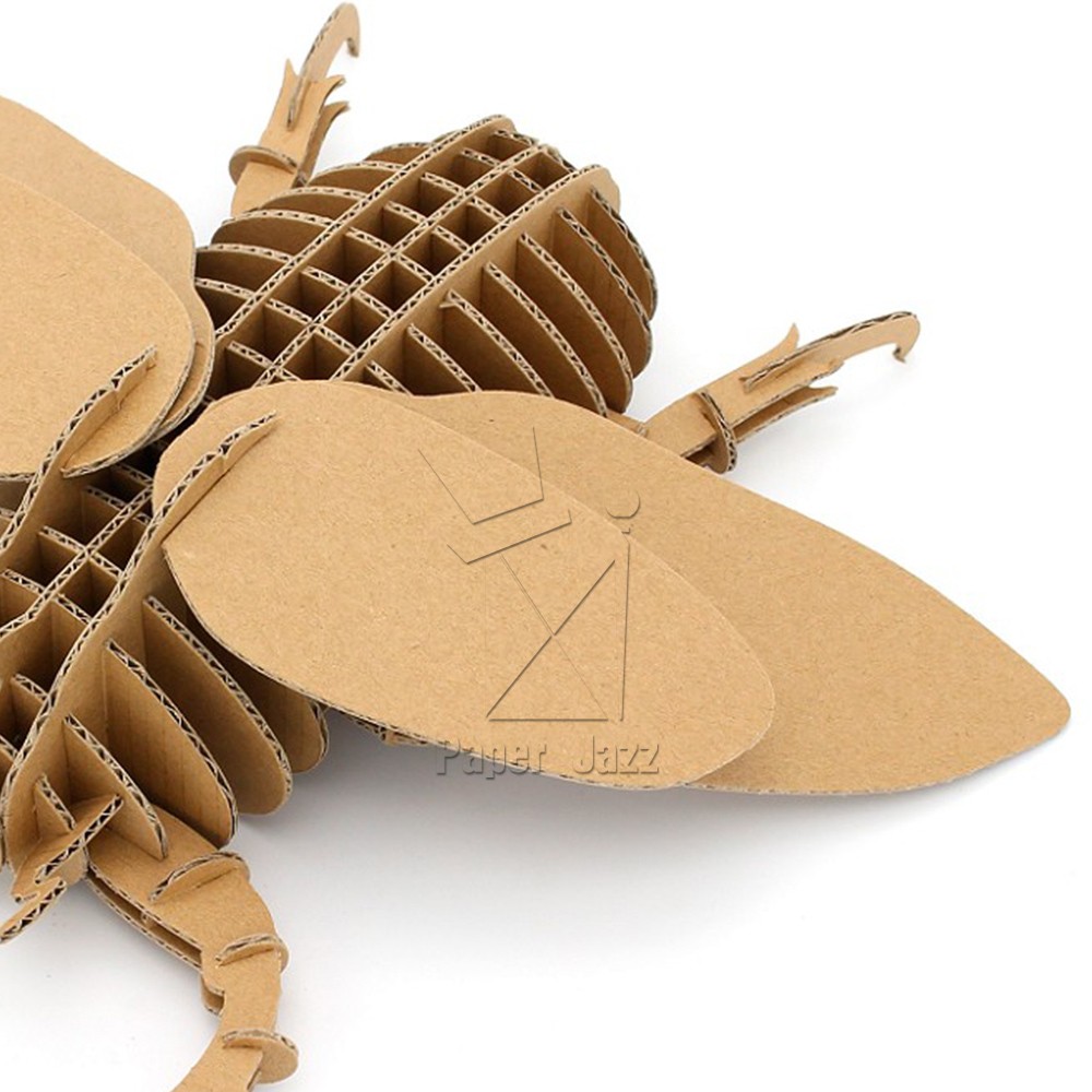 CARDBOARD BEETLE纸板甲虫