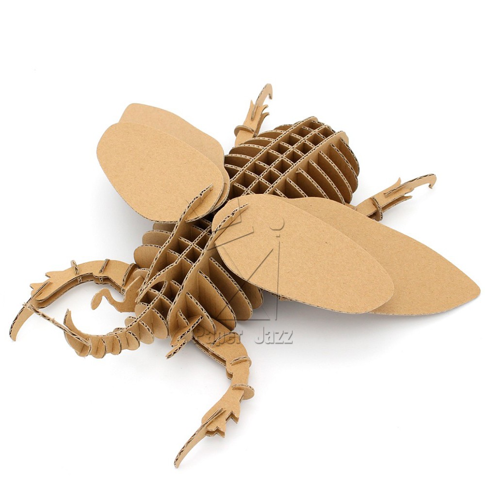 CARDBOARD BEETLE纸板甲虫