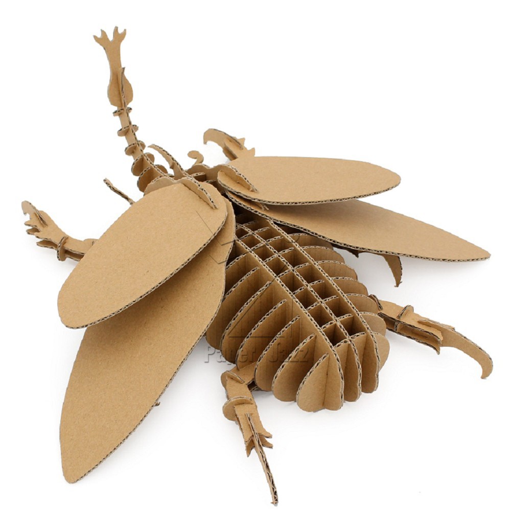 CARDBOARD BEETLE纸板甲虫