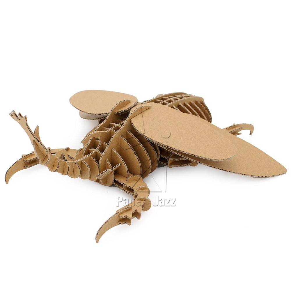 CARDBOARD BEETLE纸板甲虫