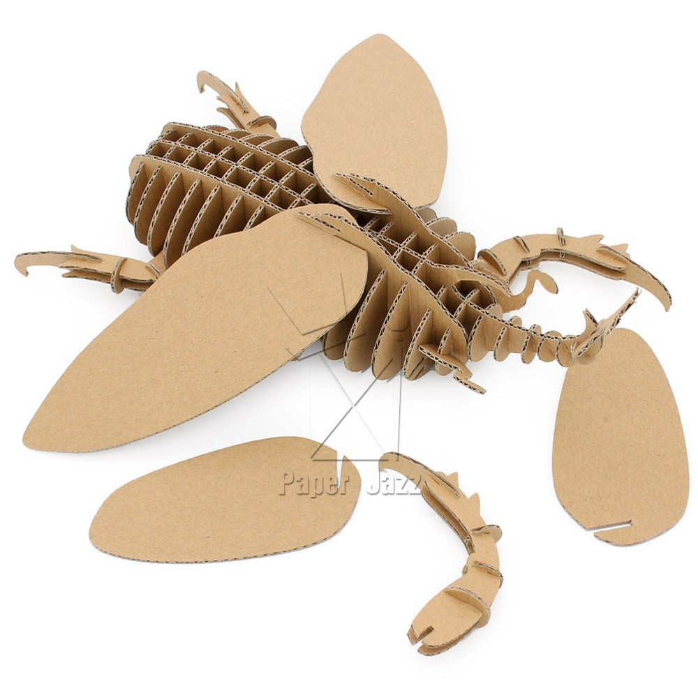CARDBOARD BEETLE纸板甲虫