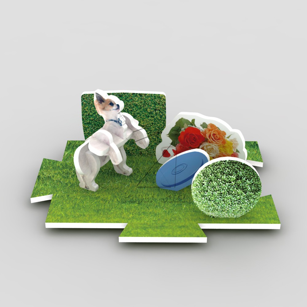 12 PET DOG COMBINATION/12宠物狗组合
