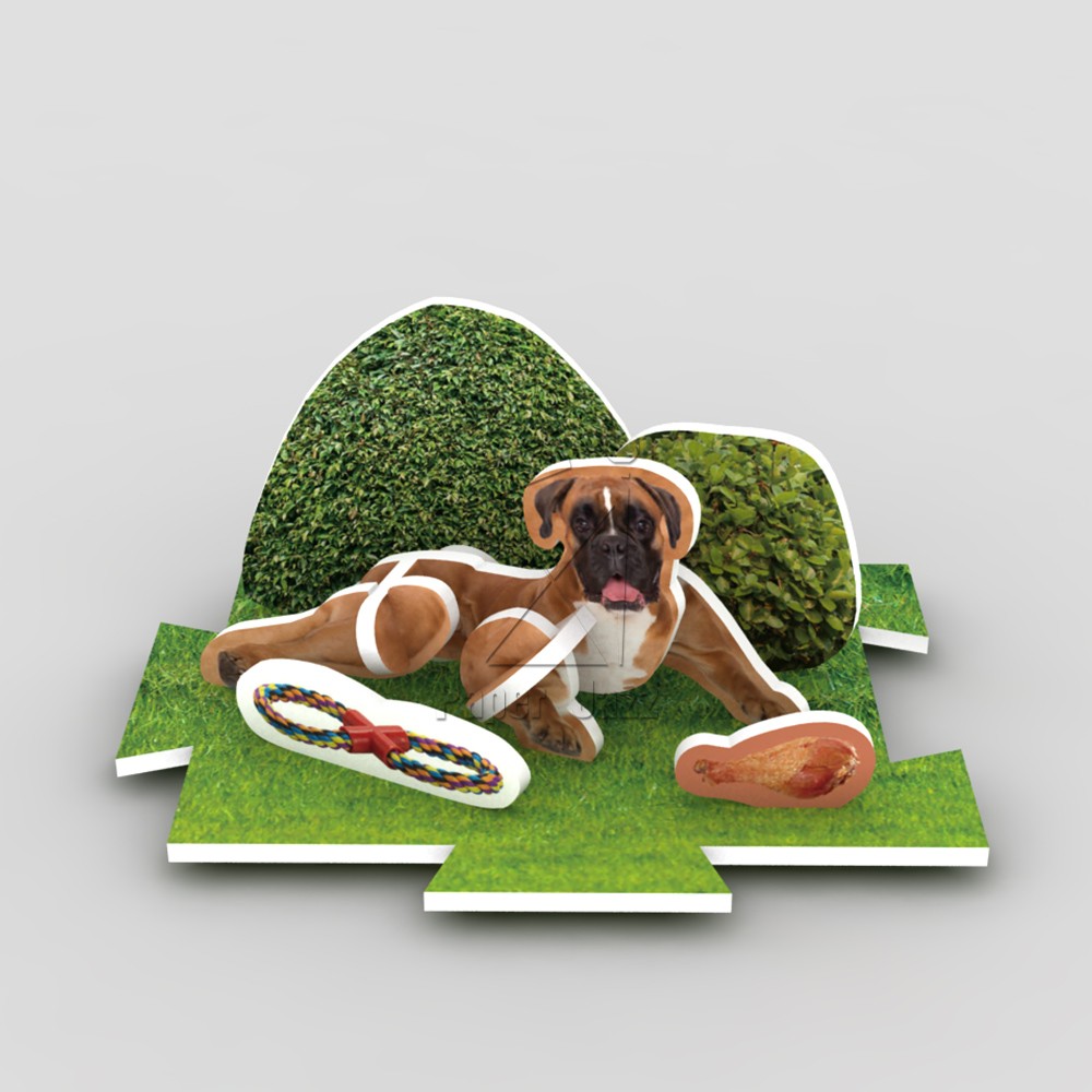 12 PET DOG COMBINATION/12宠物狗组合