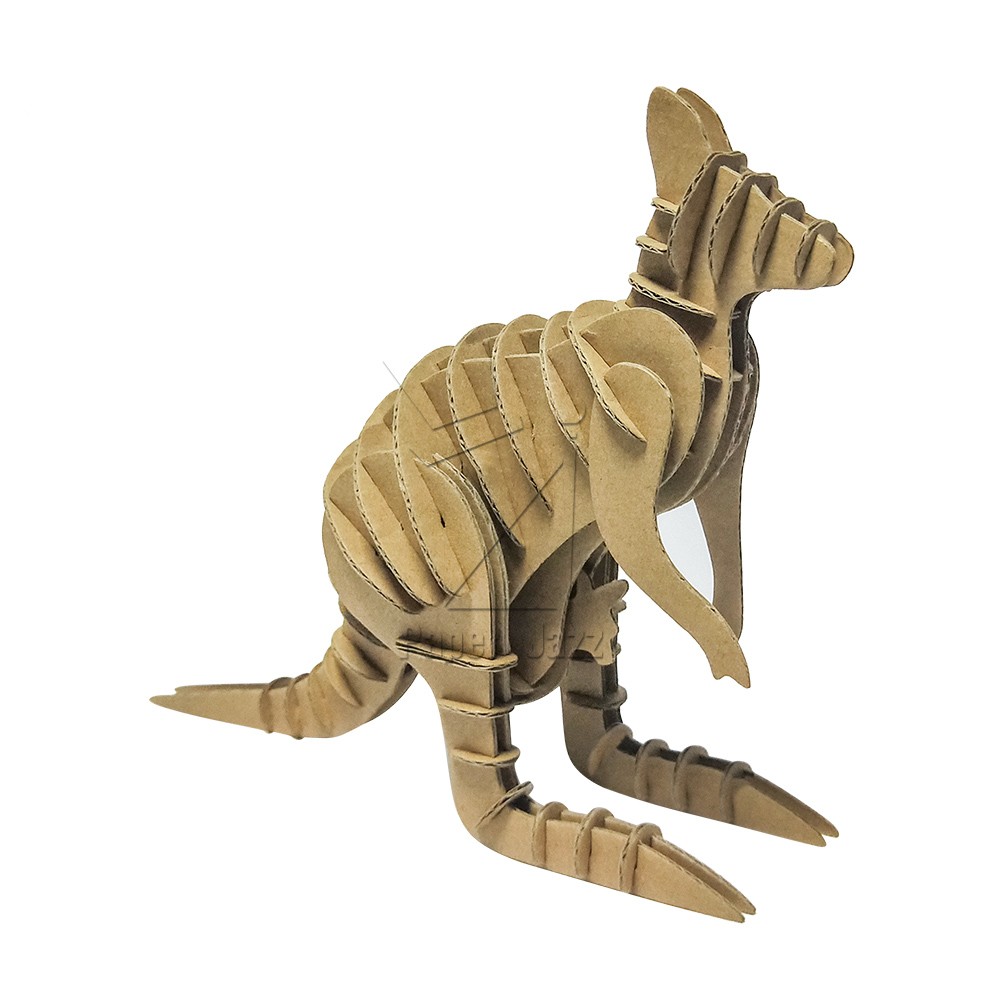 kangaroo 袋鼠