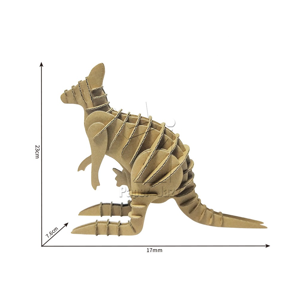 kangaroo 袋鼠