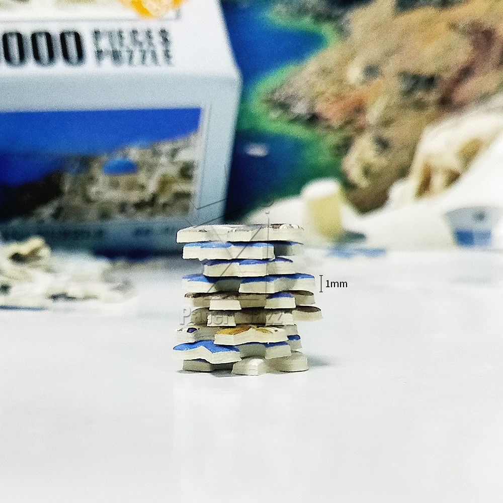 WORLD FINE MOSAIC 1000 PICTURES世界微细拼图1000片