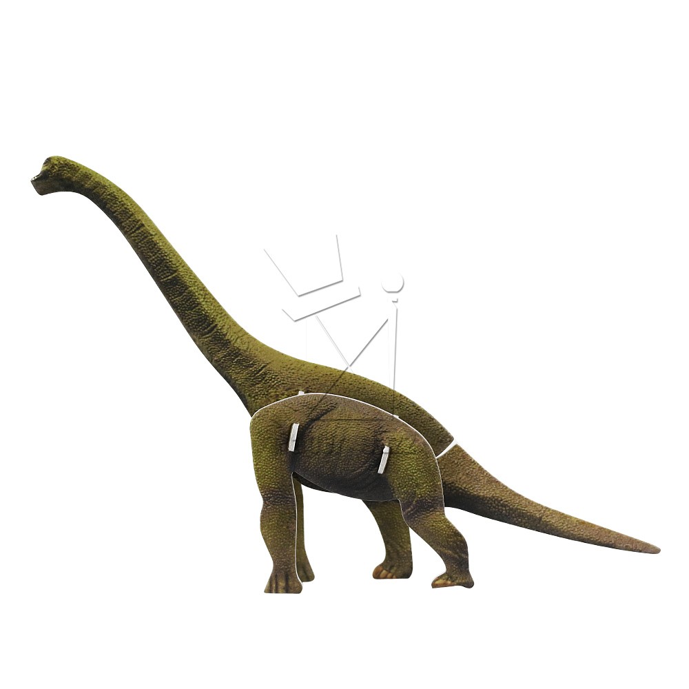 SMALL DINOSAUR SERIES 小恐龙系列