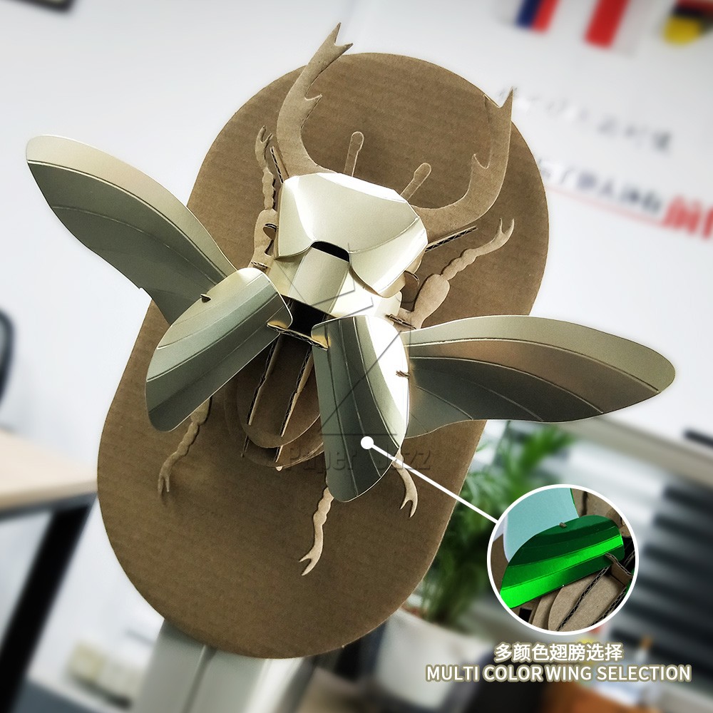 Deer beetle鹿甲虫