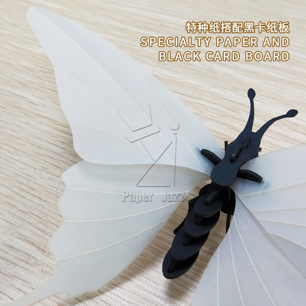 Butterfly tail剑尾蝴蝶