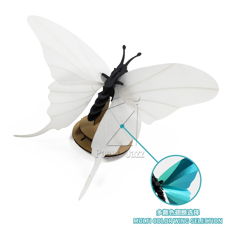 Butterfly tail剑尾蝴蝶