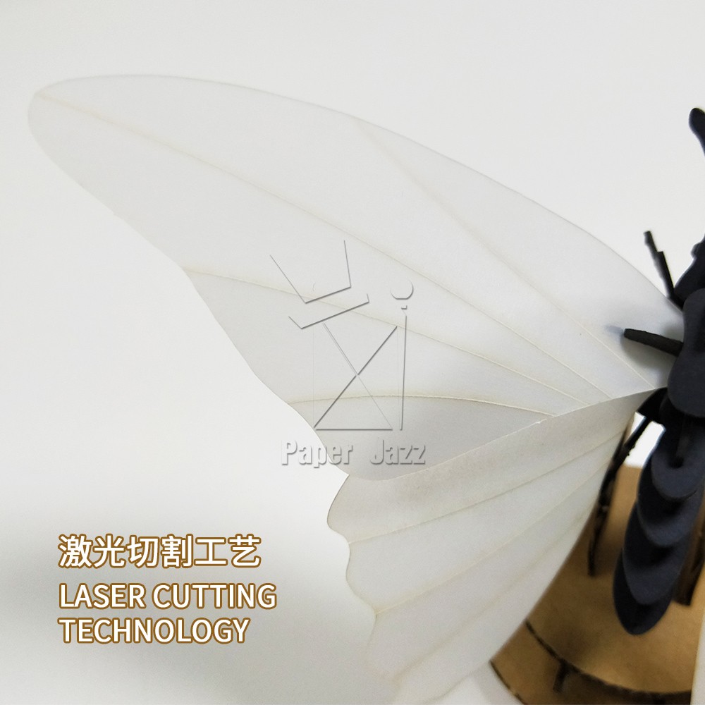 Butterfly tail剑尾蝴蝶