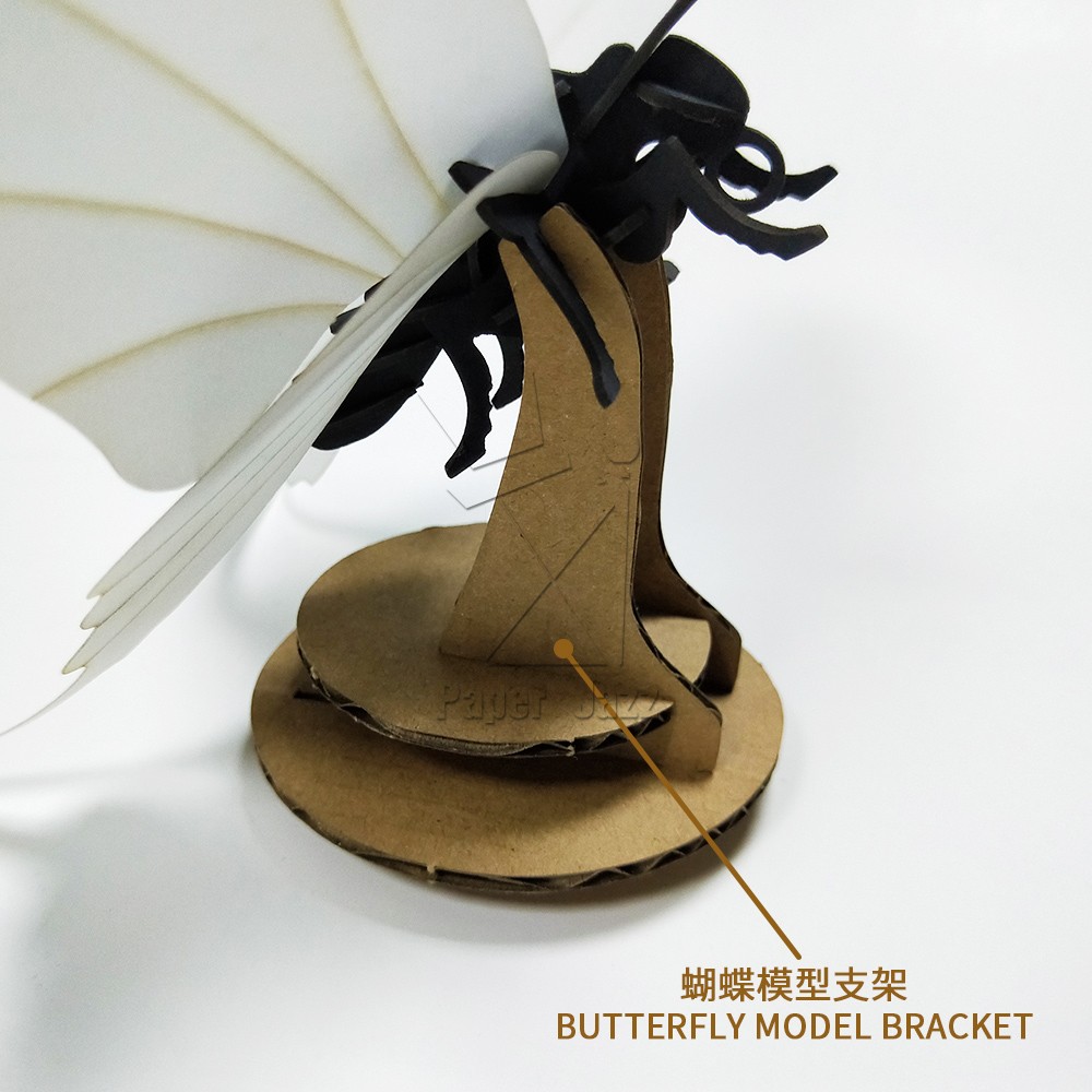 Butterfly tail剑尾蝴蝶