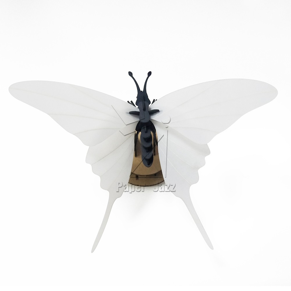 Butterfly tail剑尾蝴蝶