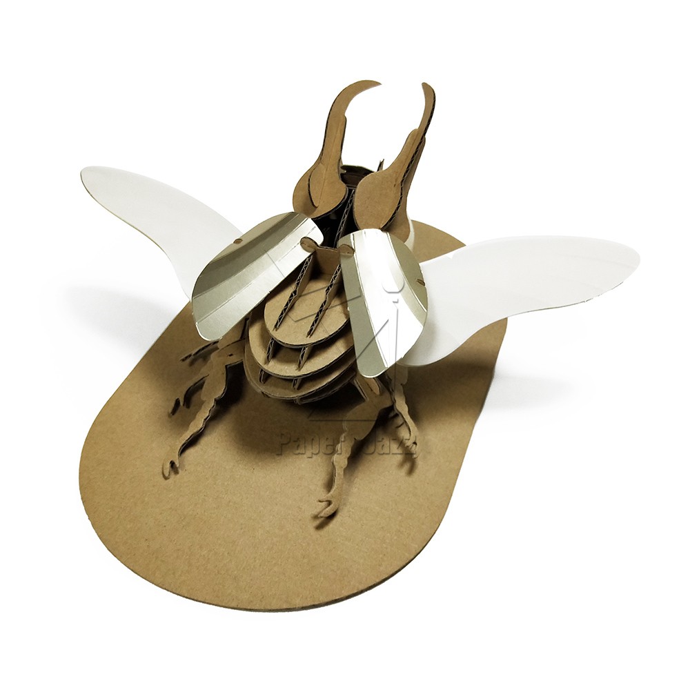 Atlas beetle阿特拉斯甲虫