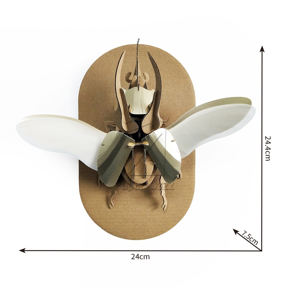 Atlas beetle阿特拉斯甲虫