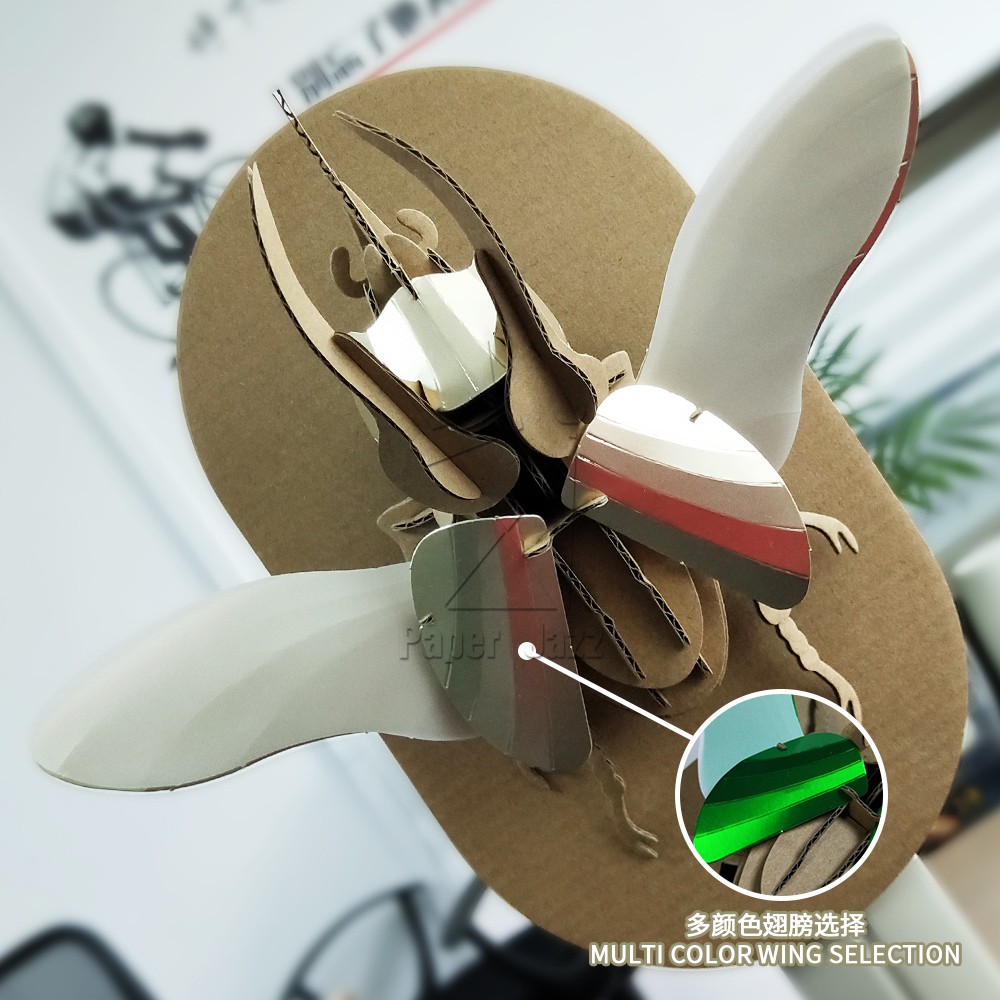 Atlas beetle阿特拉斯甲虫