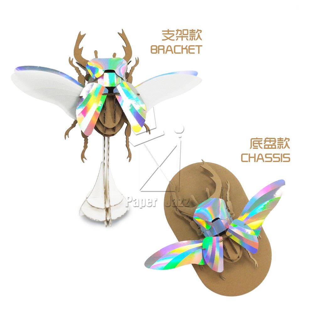 Deer beetle鹿甲虫