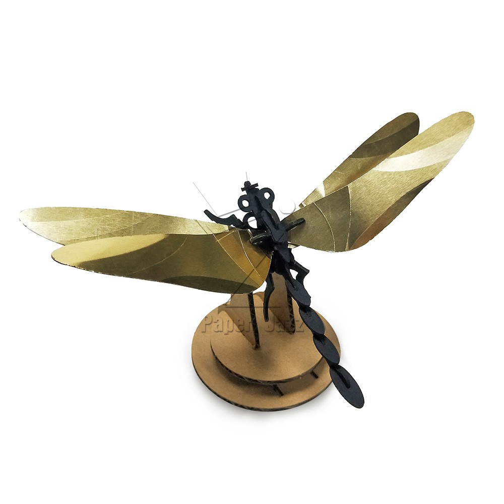 Dragonfly蜻蜓
