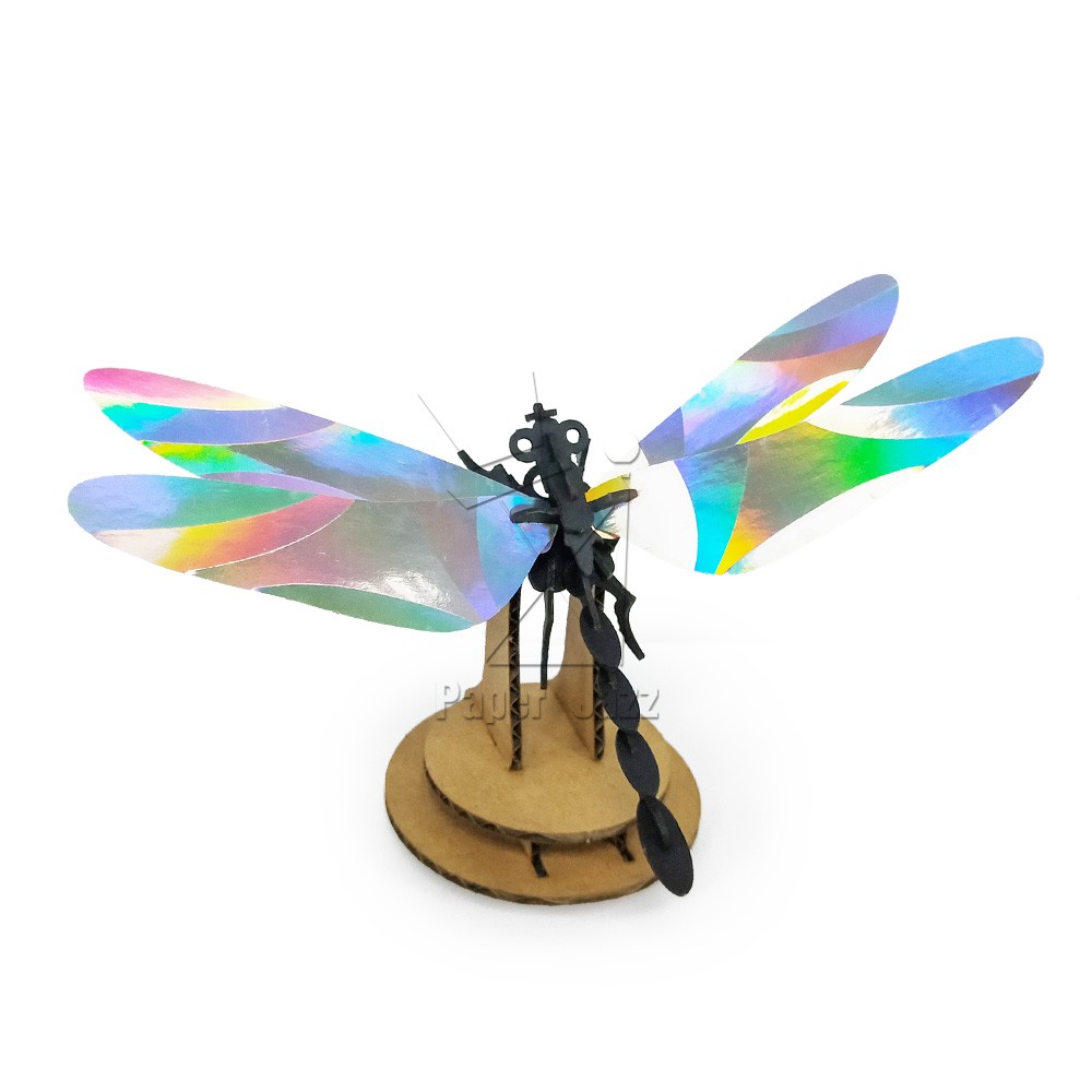 Dragonfly蜻蜓