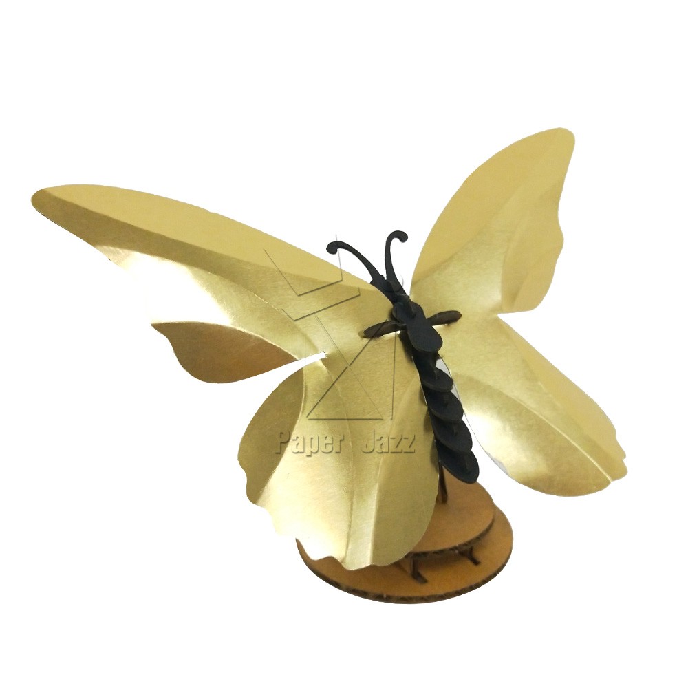 Bird wings Butterfly鸟翼蝴蝶