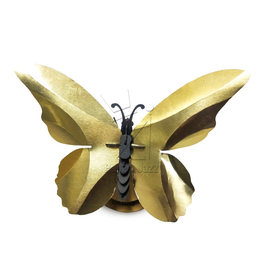 Bird wings Butterfly鸟翼蝴蝶