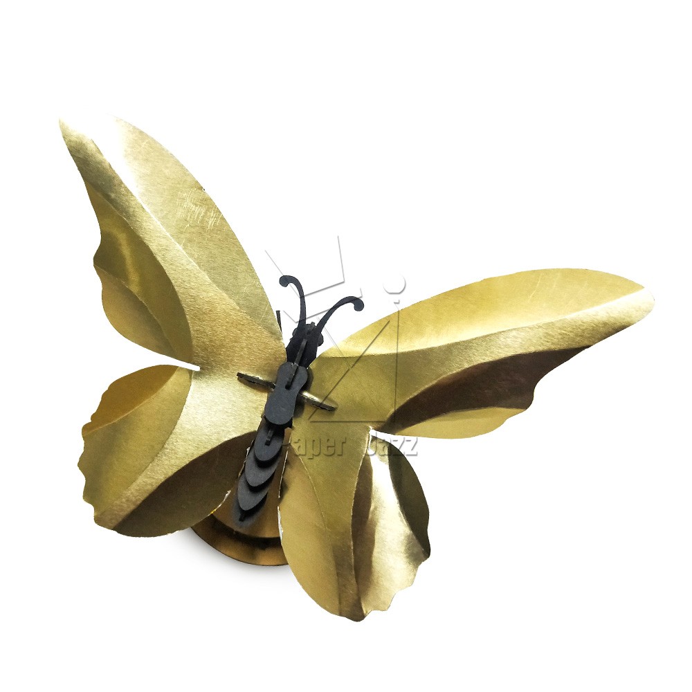 Bird wings Butterfly鸟翼蝴蝶