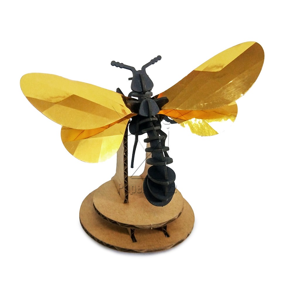 Paper wasp纸黄蜂