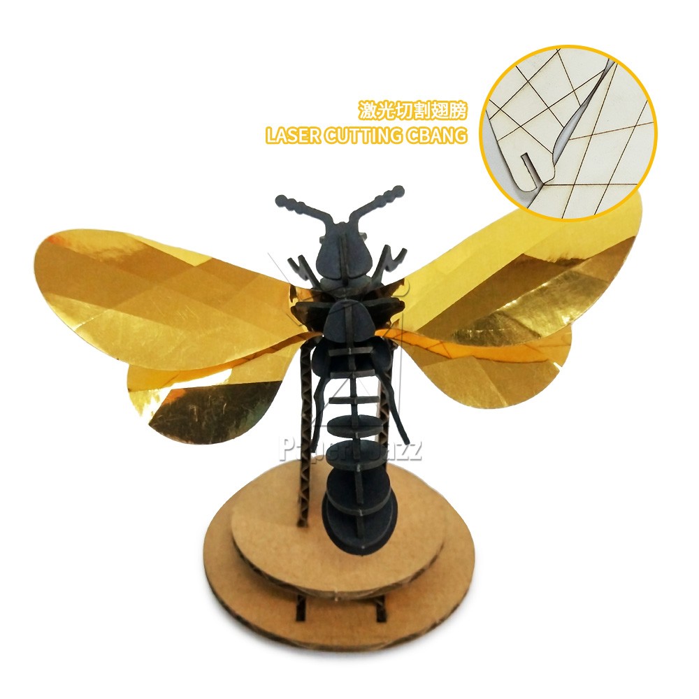 Paper wasp纸黄蜂