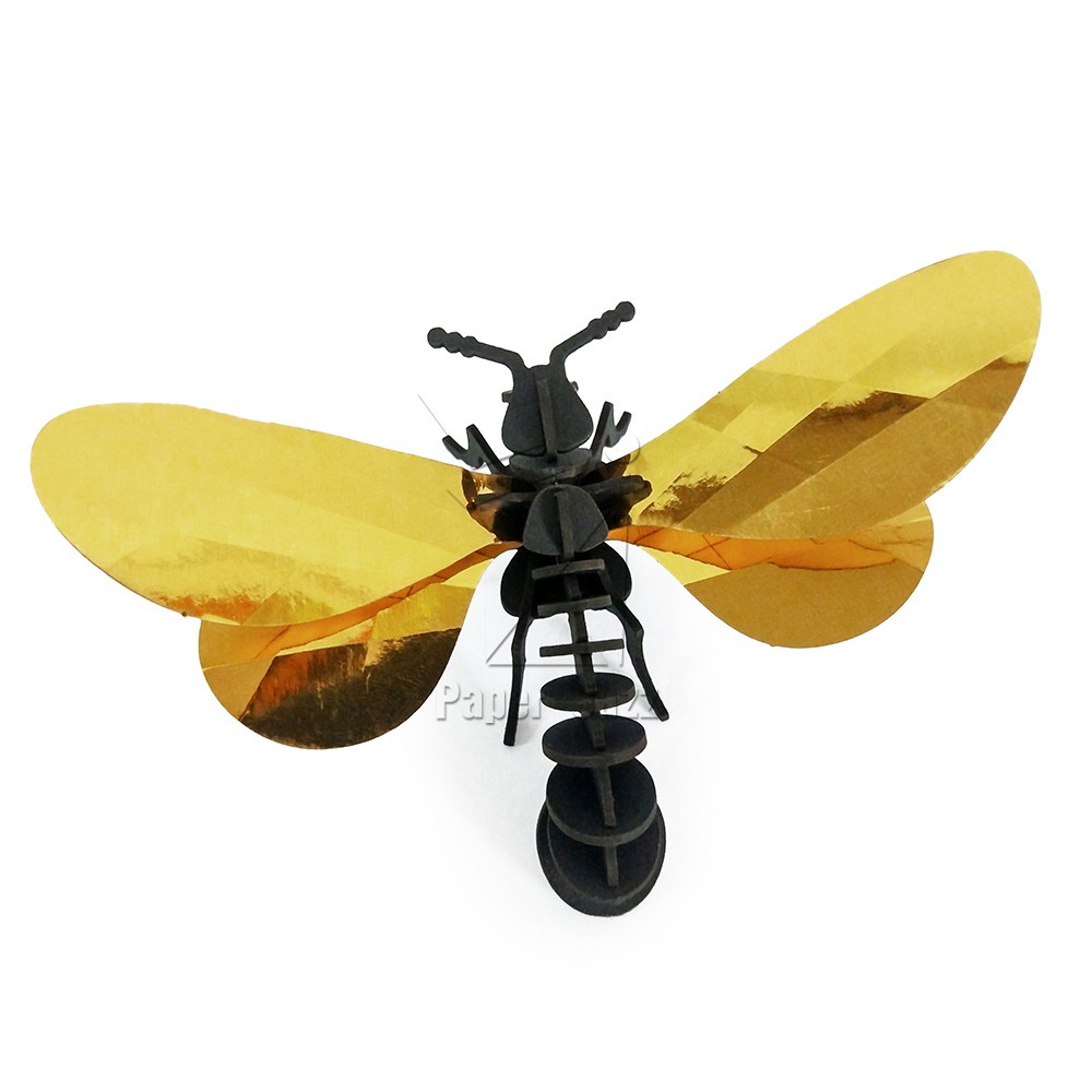 Paper wasp纸黄蜂