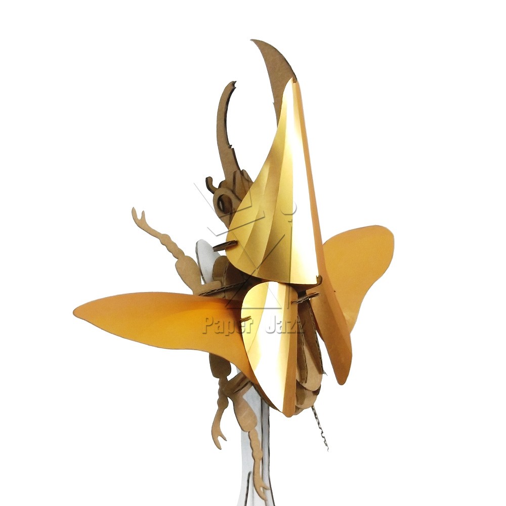 Hercules beetle大力神甲虫