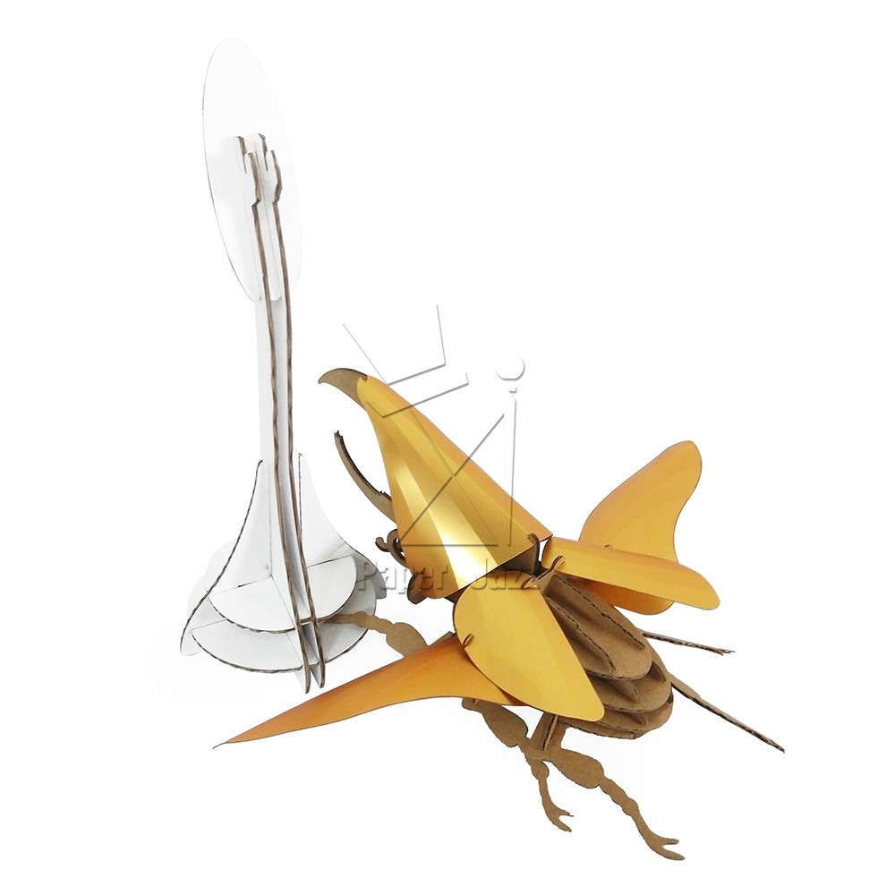 Hercules beetle大力神甲虫