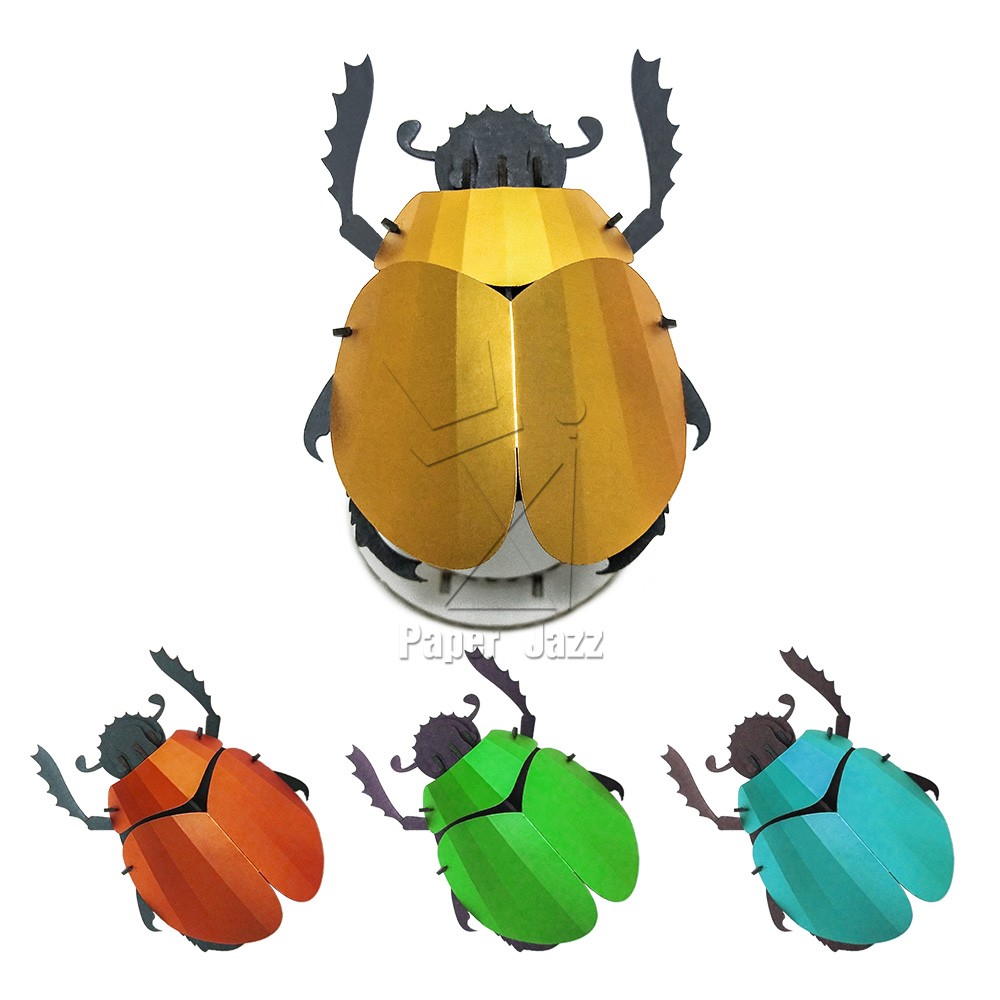 Small beetle小甲虫