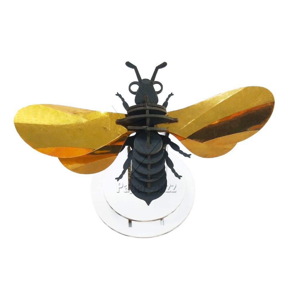 Round bee圆蜜蜂