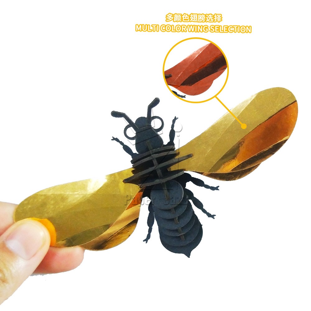 Round bee圆蜜蜂