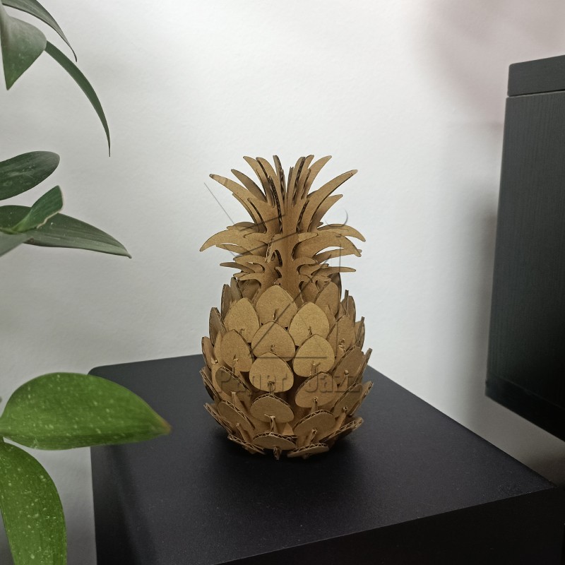 Pineapple菠萝
