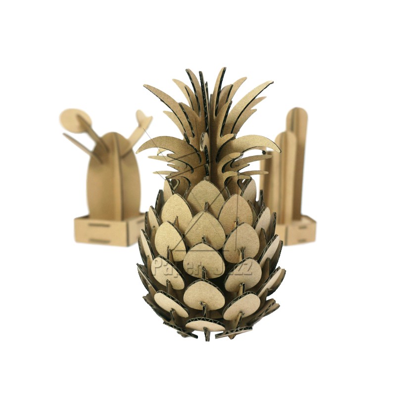 Pineapple菠萝