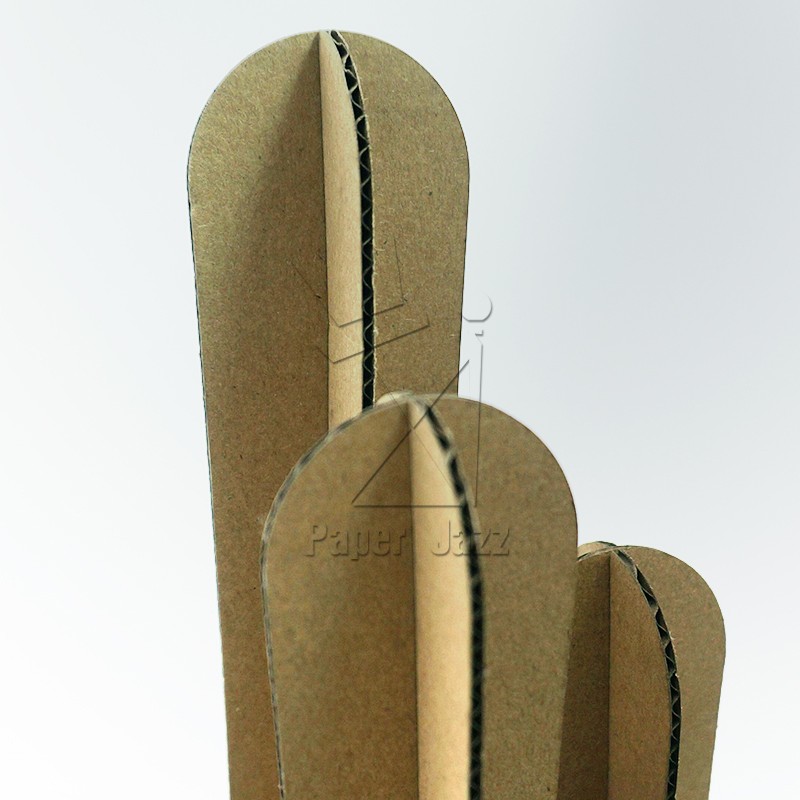 Cactus 3仙人掌3
