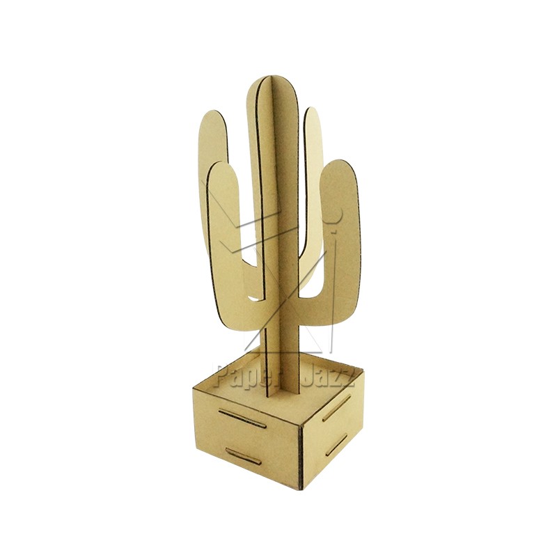 Cactus 1仙人掌1