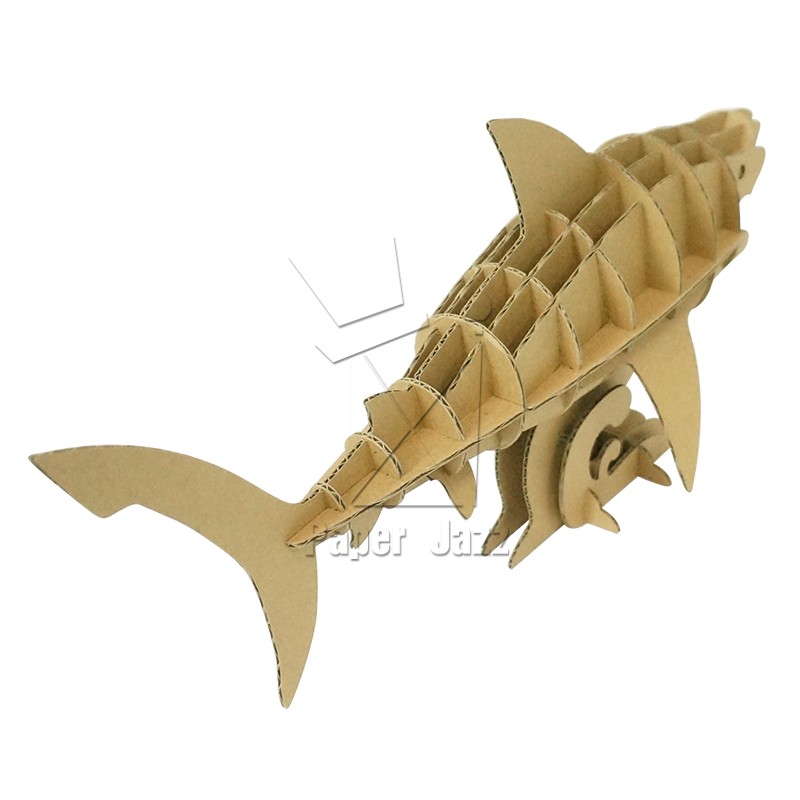 shark鲨鱼