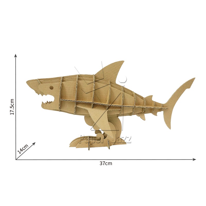 shark鲨鱼