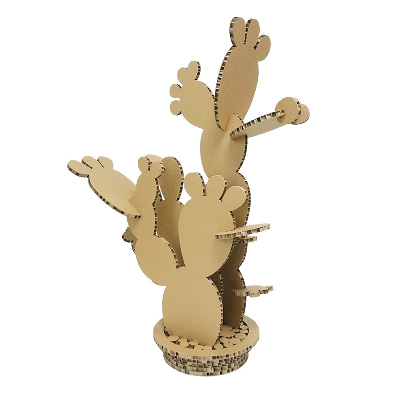 cactus plant仙人掌植物2
