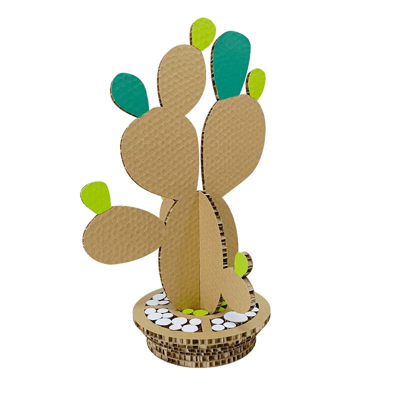 cactus plant仙人掌植物1