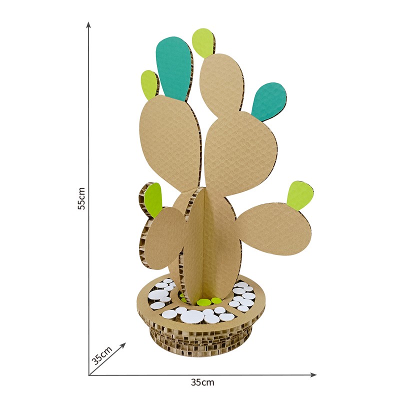 cactus plant仙人掌植物1