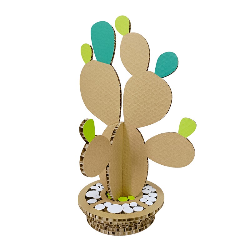 cactus plant仙人掌植物1