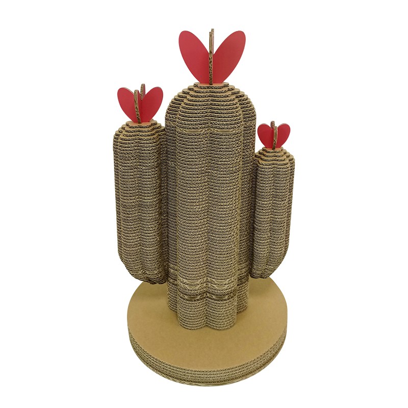 Plant cactus5植物仙人掌5