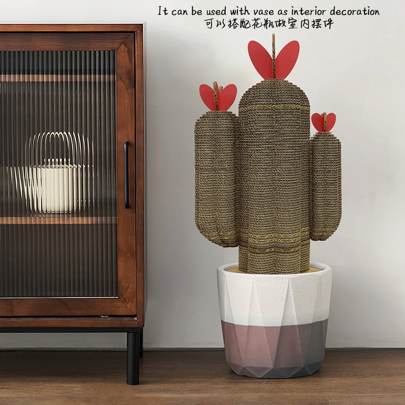 Plant cactus5植物仙人掌5