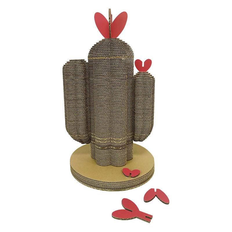 Plant cactus5植物仙人掌5