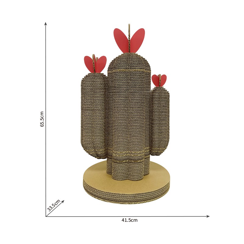 Plant cactus5植物仙人掌5