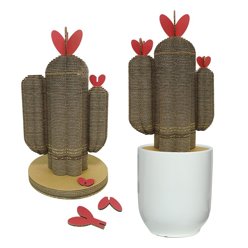 Plant cactus5植物仙人掌5