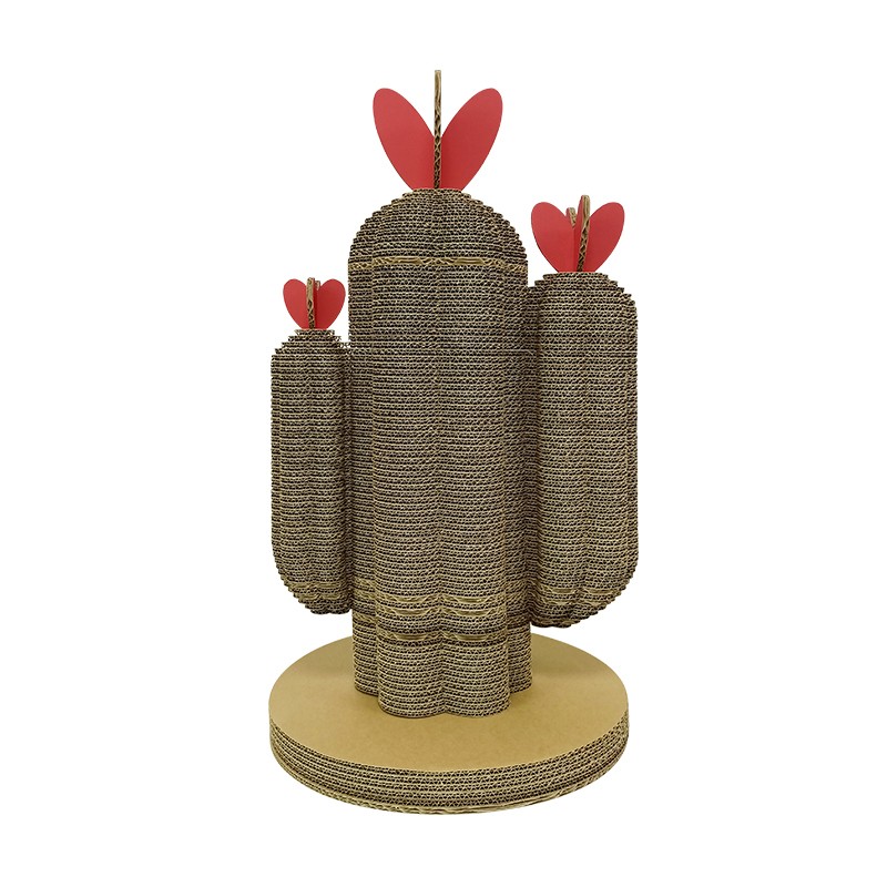 Plant cactus5植物仙人掌5